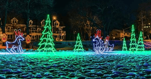 Family-Friendly Christmas Events in Toronto and Niagara Falls