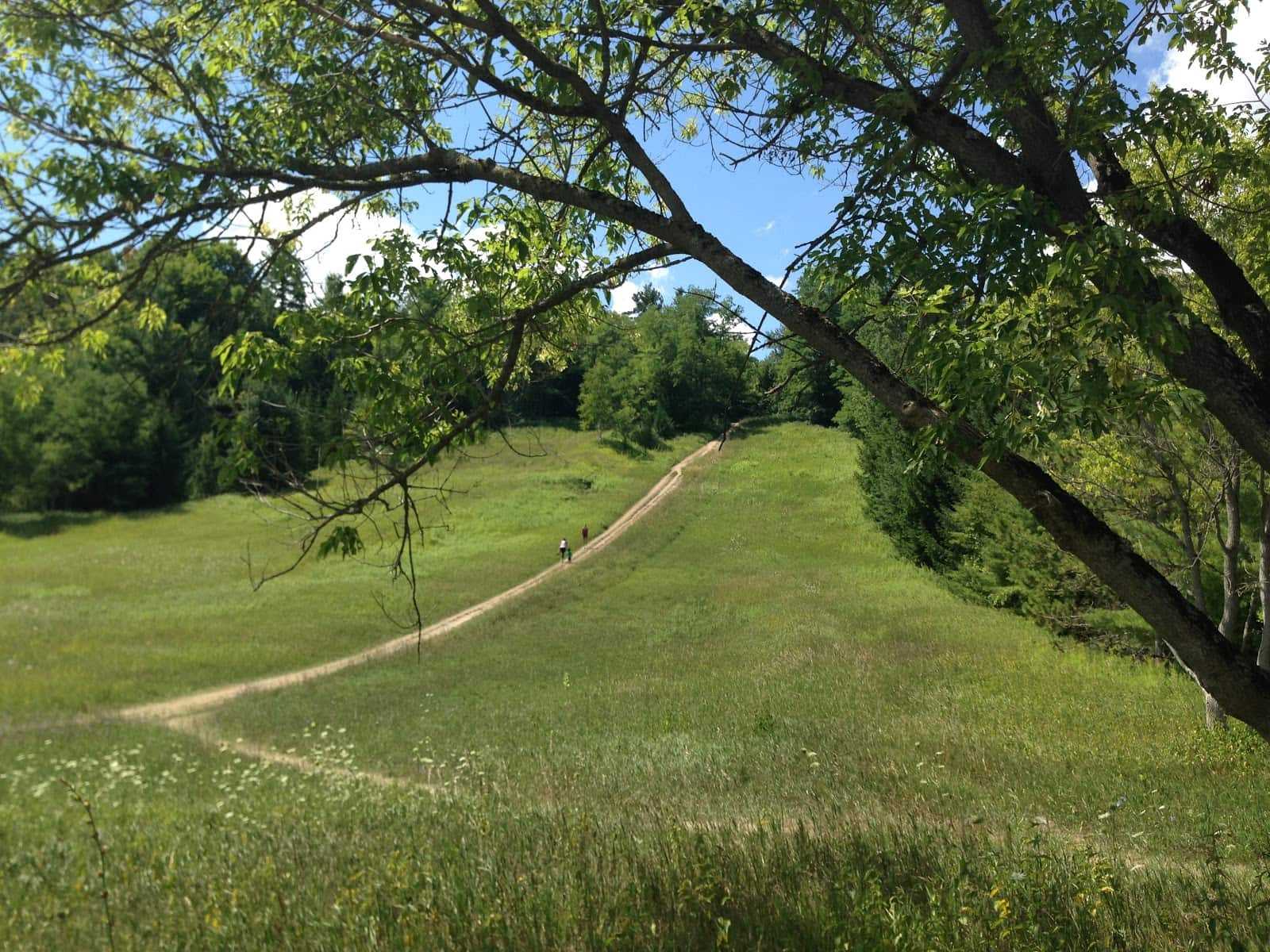 Rouge Park,